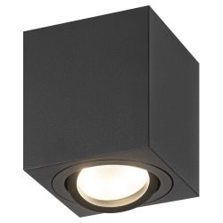 Светильник накладной ЭРА OL22 BK под лампу MR16 GU10 поворотный черный | Накладные светильники