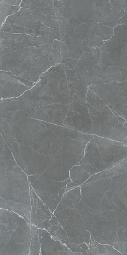 SHAKESPEARE SENIOR GREY