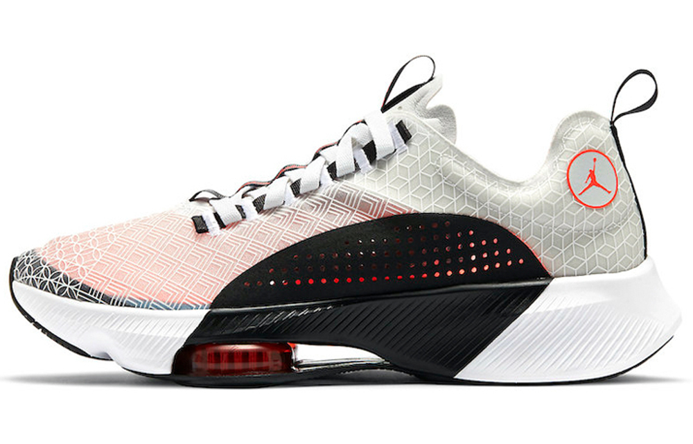 Кроссовки Jordan Air Zoom Renegade