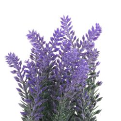 GAEM Цветочная композиция "Лаванда", L10 W10 H20 см