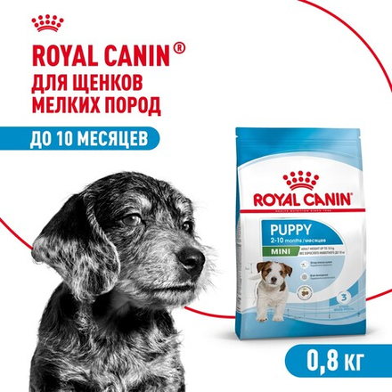 Royal Canin Mini Puppy Мини Паппи Корм сухой для щенков мелких пород в возрасте до 10 месяцев 800 г