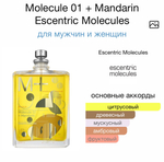 Molecule 01 + Mandarin Escentric Molecules