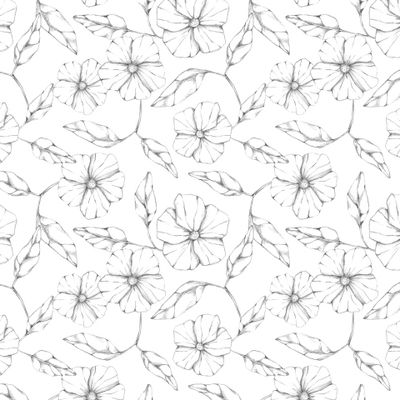 Графические монохромные цветы на белом