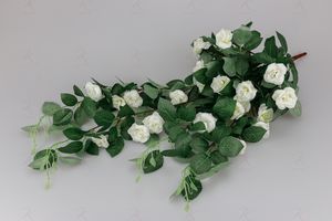 Ампельная кустовая роза Феерия