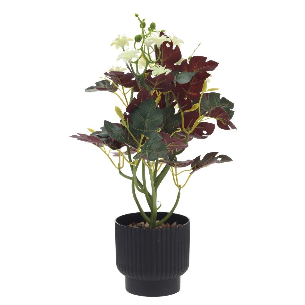 GAEM Цветочная композиция, L9 W9 H28 см