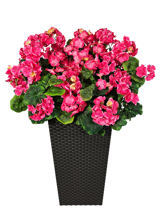 Герань малиновая 80см в высоком коричневом кашпо 51см ротанг