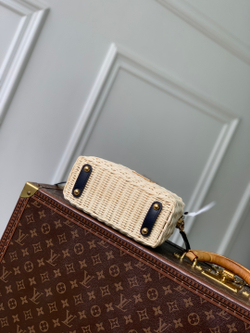 Louis Vuitton Capucines Mini
