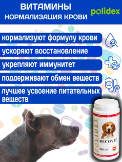 Polidex Recovit для собак, Кормовая добавка для восстановления организма после операций, травм, больших потерь крови, Полидекс Рековит, 150 таб