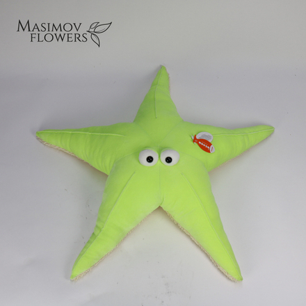 Морская звезда