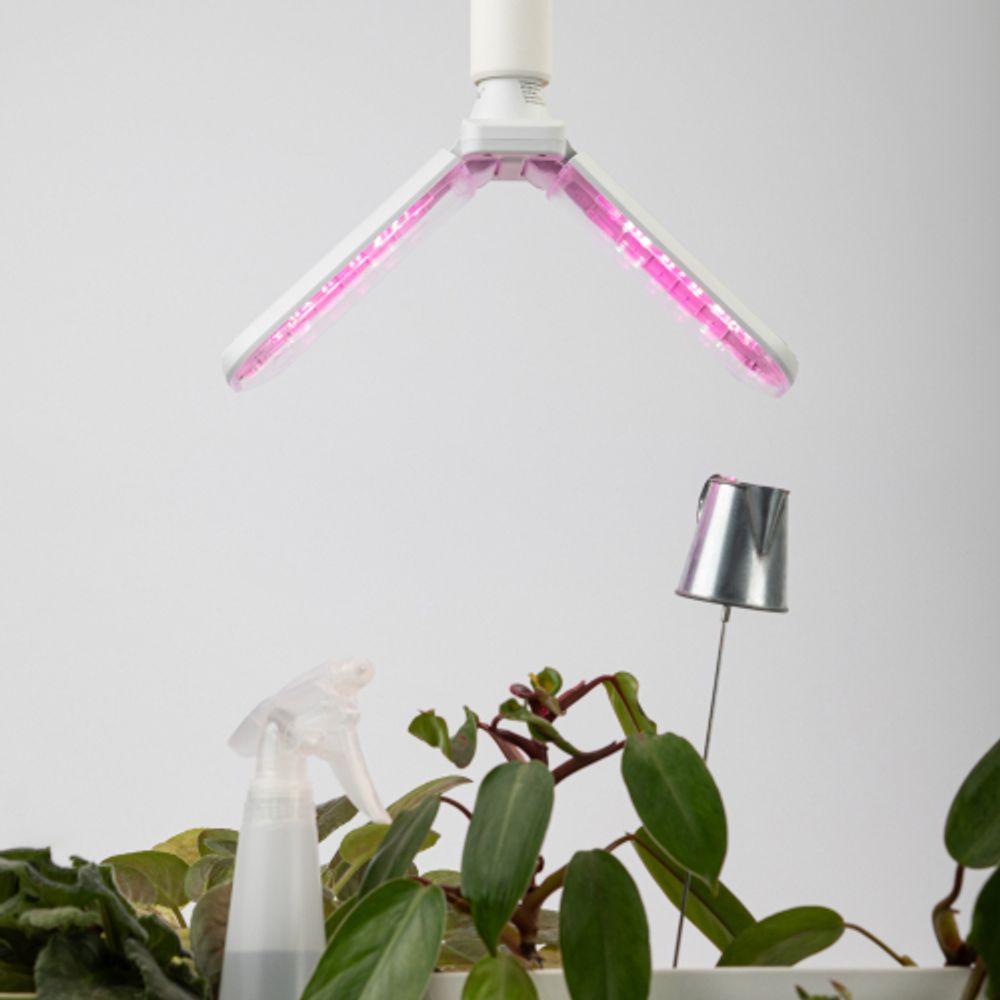 Фитолампа для растений светодиодная ЭРА GREEN LINE ФИТО-20W-PL-E27-GR 2-х лепестковая красно-синего спектра 20 Вт Е27 | Фитолампы Е27