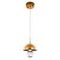 Подвесной светодиодный светильник Modelux 88981-1 GD