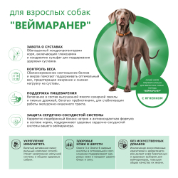 Корм сухой для взрослых собак породы Веймаранер, с ягненком, 2.5 кг, QUATTRO