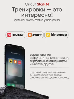 Беговая дорожка Orlauf Stork M