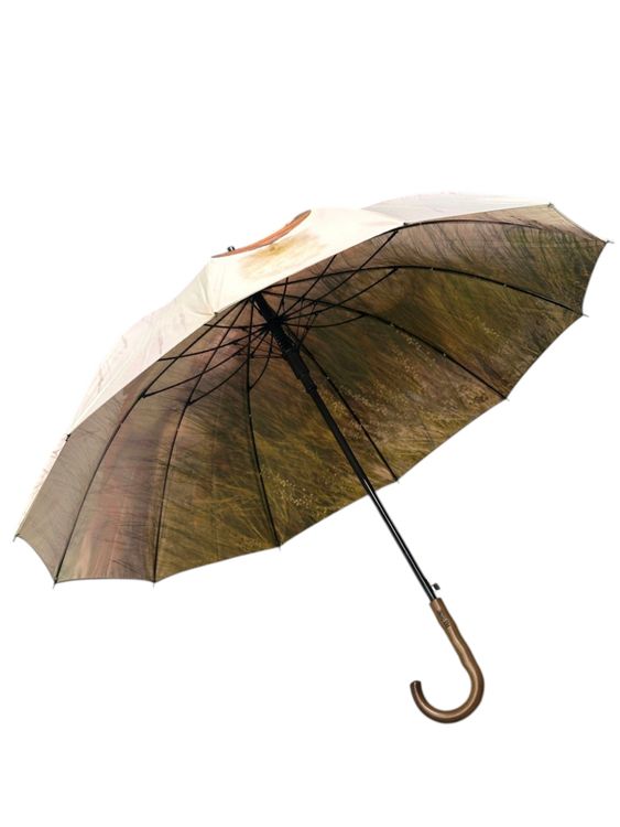 Зонт Арулар