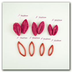 Лепестки лилии Дабл Плеже