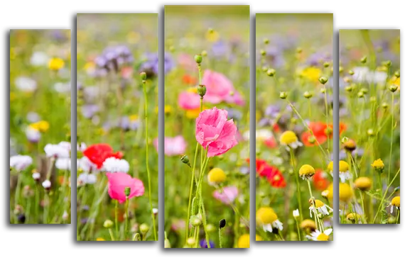 Модульная картина "Луговые цветы"