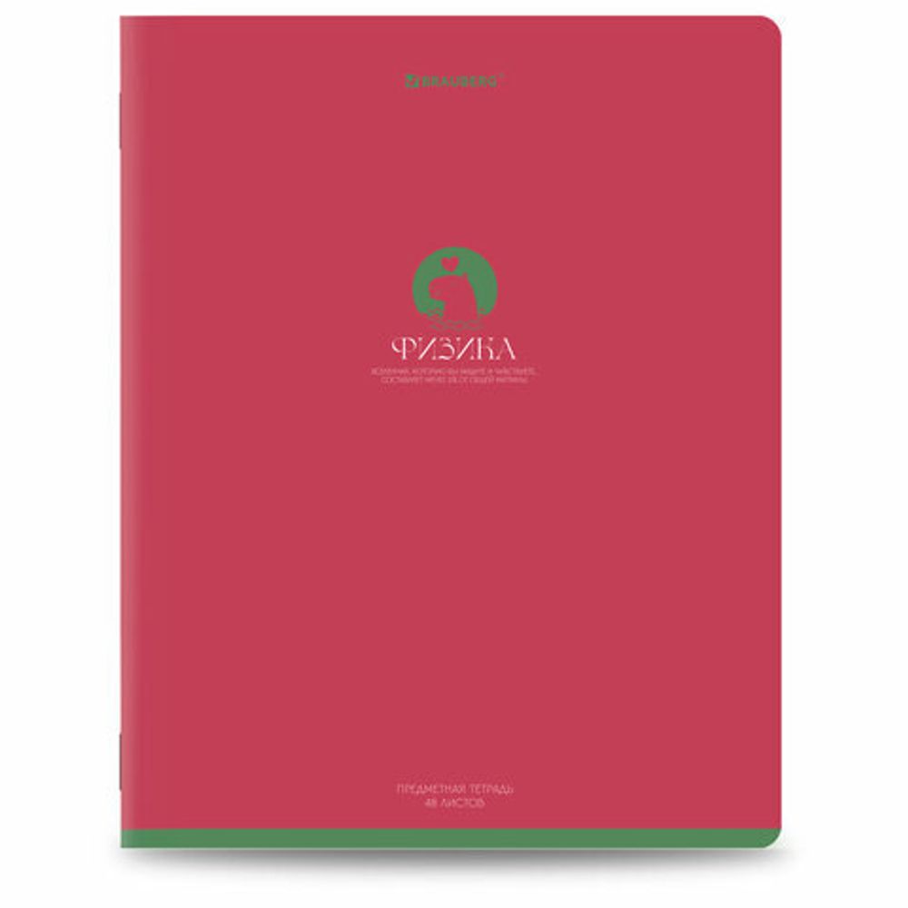 Тетради предметные, КОМПЛЕКТ 13 ПРЕДМЕТОВ, 48 л., матовая ламинация, BRAUBERG "MONOCOLOR", 405175