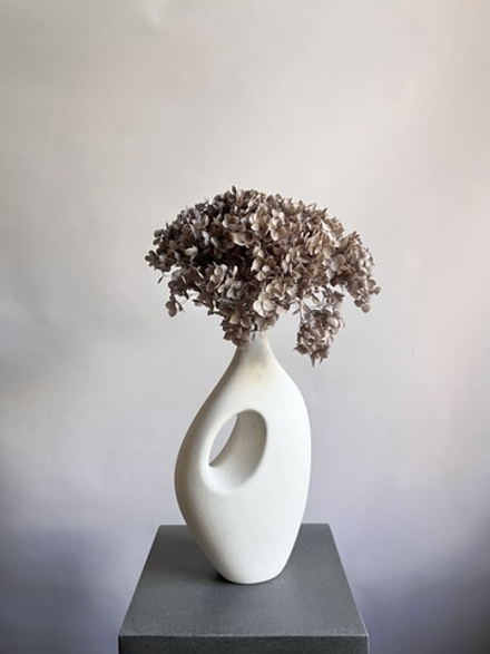 Гортензия стабилизированная коричневая