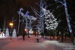 Светодиодная конструкция «Ель склонившаяся»