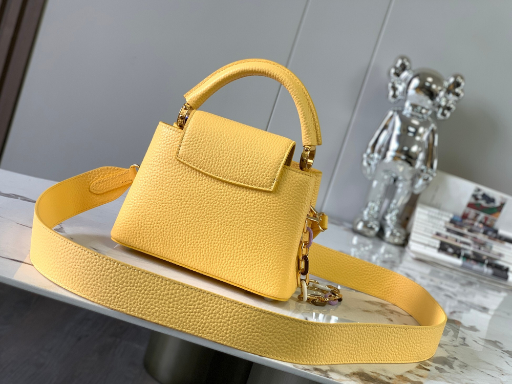 Louis Vuitton Capucines Mini