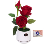 Цветочная композиция «Розовый восторг» 28см в горшке, цвет бордовый