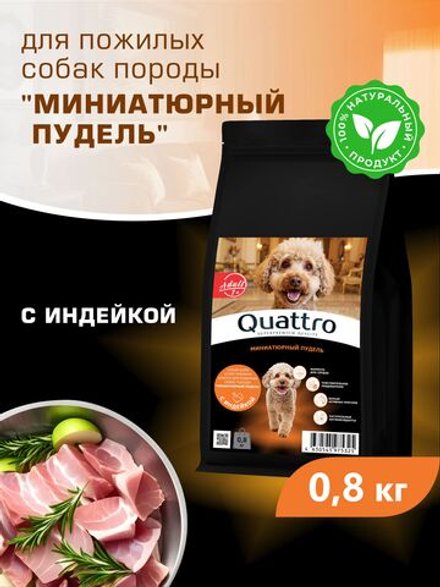 Корм сухой для пожилых собак породы Миниатюрный пудель старше 7 лет, с индейкой, 800 гр, QUATTRO