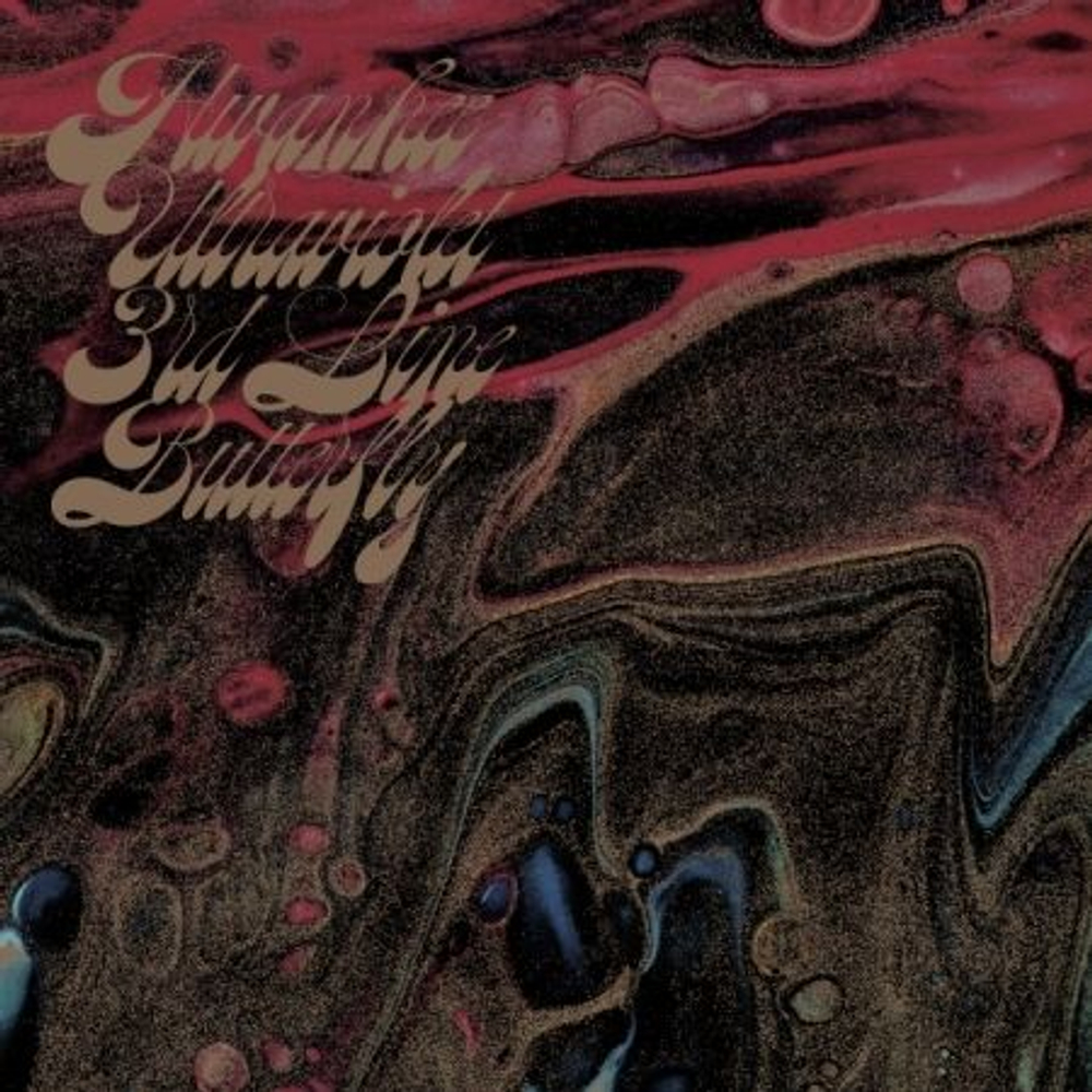 Альбом 3RD LINE BUTTERFLY - OUTSIDE OF JOYOUS PURPLE