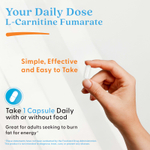 Doctor's Best, фумарат L-карнитина с Biosint Carnitine, 60 растительных капсул (500 мг в 1 растительной капсуле)