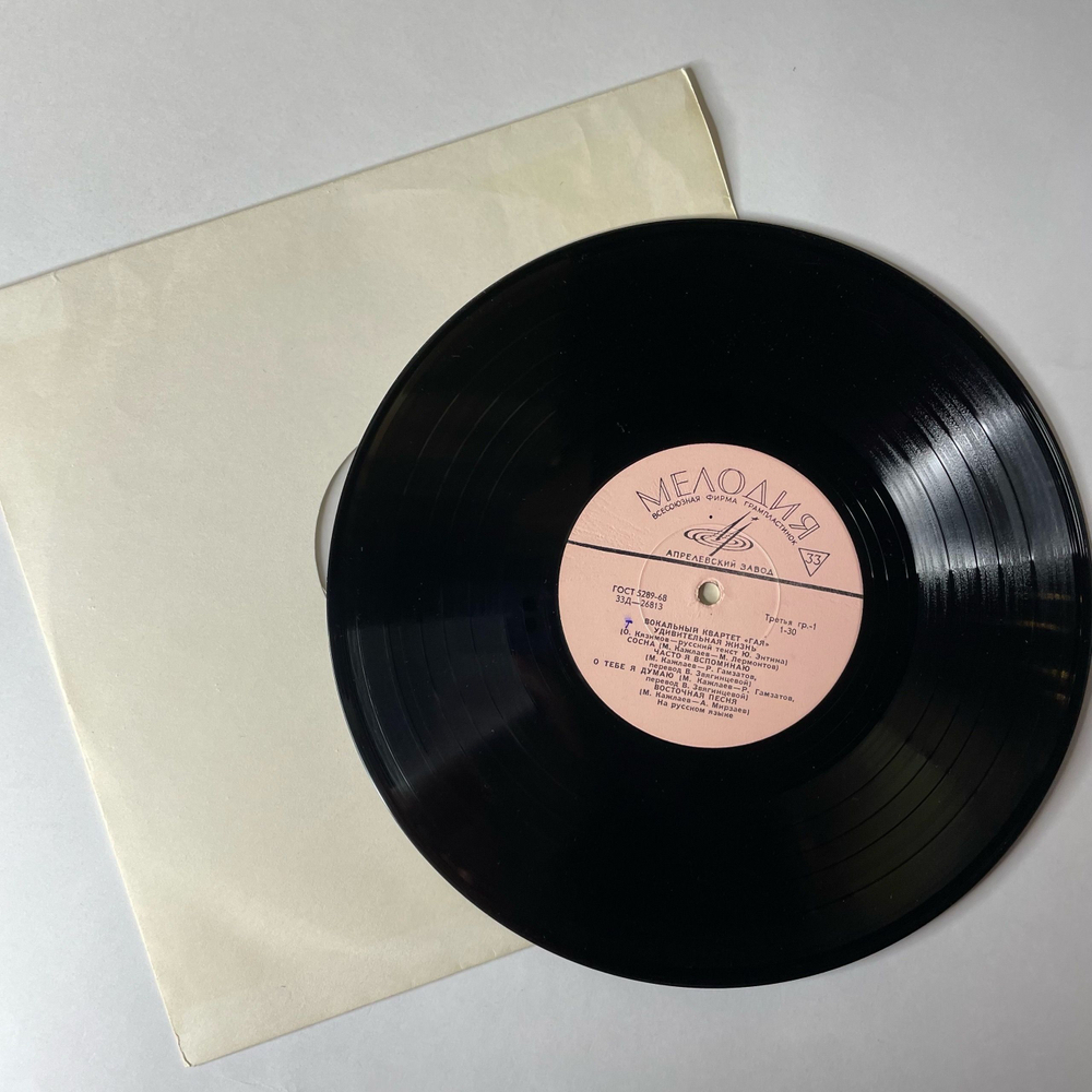 Винтажная виниловая пластинка LP Вокальный Квартет Гая, Удивительная Жизнь (СССР 1969)