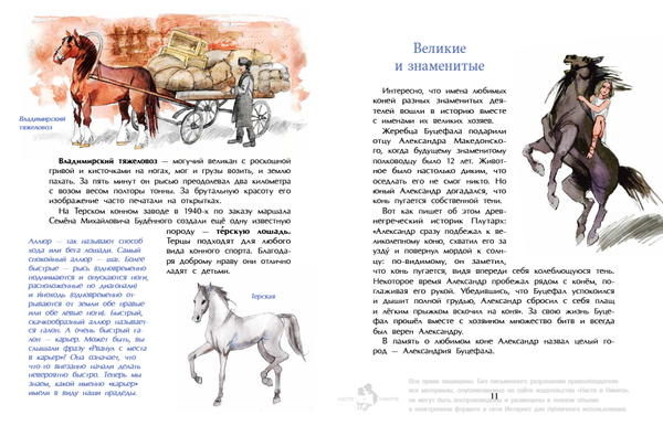 Кони. Дикие, благородные, знаменитые