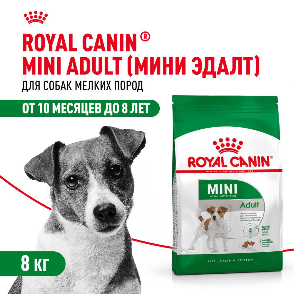 Royal Canin Mini Adult Корм сухой для взрослых собак мелких размеров от 10 месяцев 8 кг