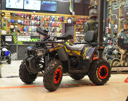 Motoland ATV 200 WILD TRACK X (2020)