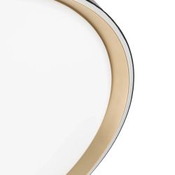 Citilux BOSS CL751451G LED RGB Светильник с пультом Чёрный с Золотом