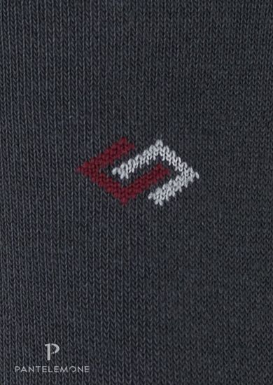 Носки мужские Pantelemone PN-106 ,темно-серые
