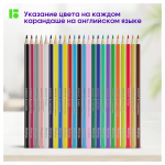 Карандаши цветные 24цв. трехгранные "SuperSoft. Жил-был кот" (Berlingo)