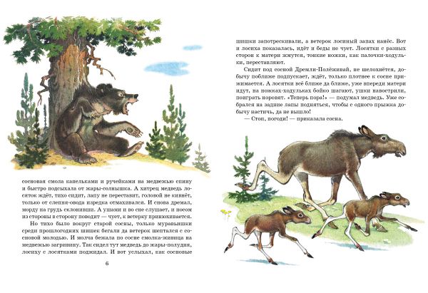 Как сосна лосяток спасала