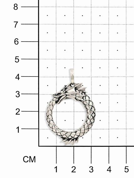 Подвеска Уроборос с плавником из мельхиора, на размерной сетке
