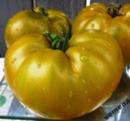 Помидоры — Золото Cherokee Green
