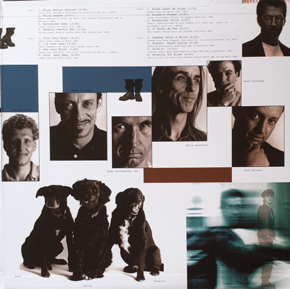 Eric Clapton / From The Cradle (2LP)