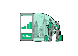 E-sim