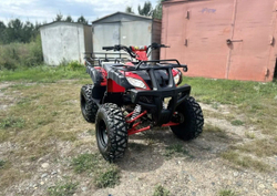 Квадроцикл RAPTOR Madman 200 All