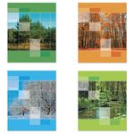 Тетрадь А5, 48 л., STAFF, клетка, офсет №2 ЭКОНОМ, обложка картон, "ВРЕМЕНА ГОДА", 402323, 4шт