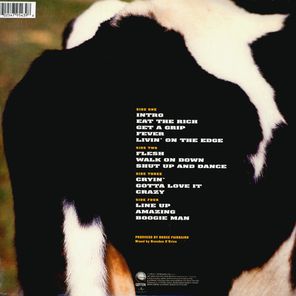 Aerosmith / Get A Grip (2LP)