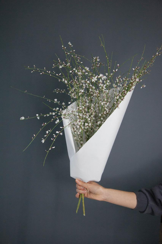 Монобукет Гениста White