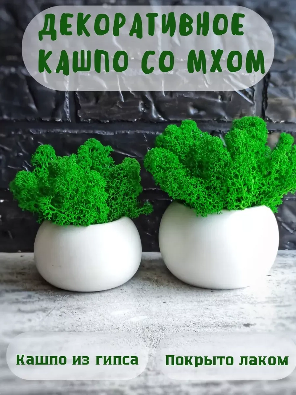 Кашпо со мхом