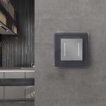 Рамка из стекла на 1 пост Elite графит W0012440