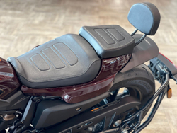 Sportster S  Harley-Davidson 2021