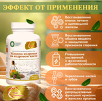 Живица кедровая на кедровом масле 240 капсул