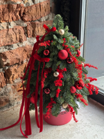 Елка из нобилиса