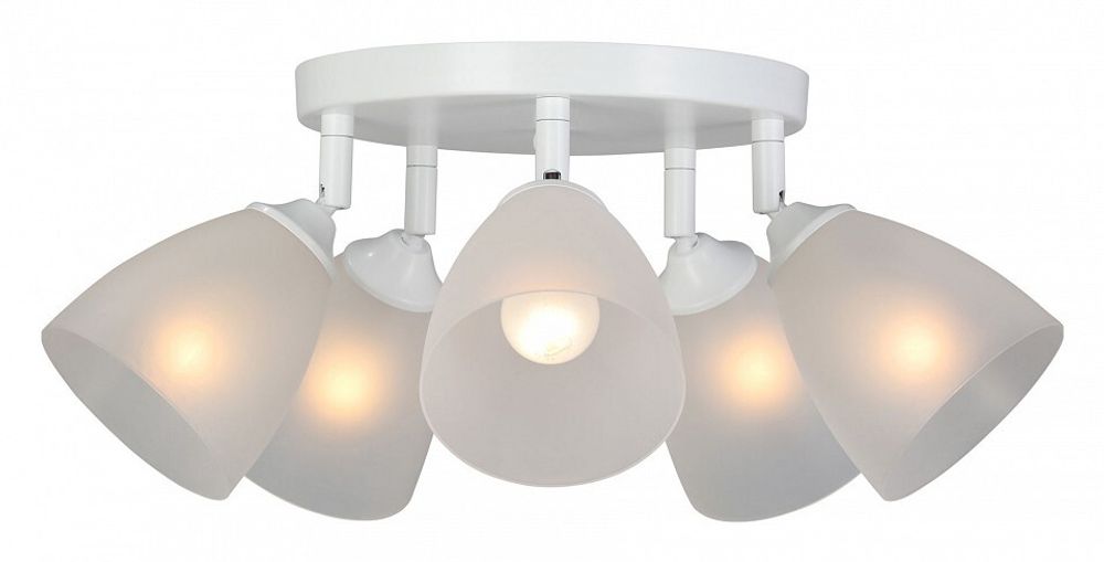 Потолочная люстра Vitaluce V4355 V4355-0/5PL